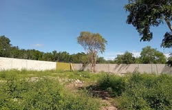 Xcunyá, Xcunya, Yucatan 97308