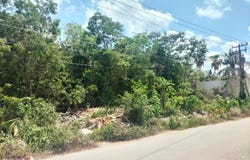 chapultepec 307, Alfredo V Bonfil, Benito Juárez, Quintana Roo, Benito Juarez, Quintana Roo 77560