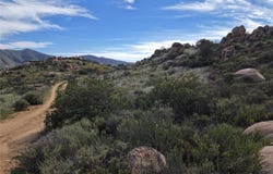 Valle de Guadalupe Km 75, Ensenada, Baja California 22750