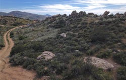 Valle de Guadalupe Km 75, Ensenada, Baja California 22750