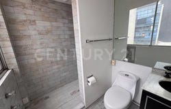 PRIVADA HORACIO 21, Zona Centro, Venustiano Carranza, Ciudad de México, Ciudad de Mexico, Ciudad de Mexico 11510