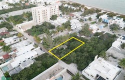 Calle 34 0, Miguel Hidalgo, Mérida, Yucatán, Merida, Yucatan 97323