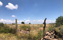 Parcela 40, El Marqués, Querétaro 76246