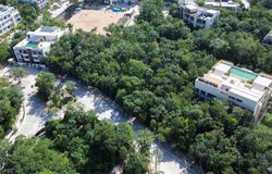 Unnamed Road, Tulum, Quintana Roo