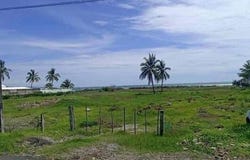 Nayarit, Nayarit