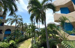 El Morro 14, Las Playas, Acapulco de Juárez, Guerrero, Acapulco de Juarez, Guerrero 39390