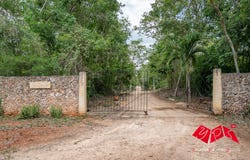 Unnamed Road, Maxcanú, Yucatan