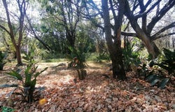 Avenida Profesor Rómulo F. Fernández 12, Oaxtepec Centro, Oaxtepec, Morelos, 62738, Morelos 62738