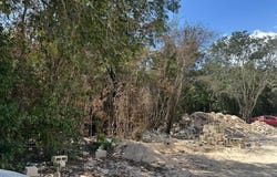 44FX+V5, Cancún, Quintana Roo 77533