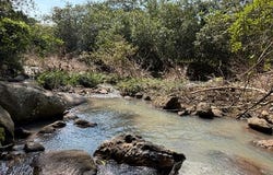 Nayarit, Nayarit