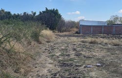 Luis Gonzalez Obregon Circ. Cron #0, San Cristóbal, La Piedad, Michoacán de Ocampo, La Piedad, Michoacan 59400