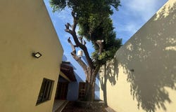 Calzada LA ARMONIA 442, Niños Héroes, Colima, Colima, Colima, Colima 28025