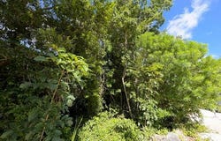 Quintana Roo, Quintana Roo