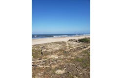 NOVILLERO, Tecuala, Nayarit 63466