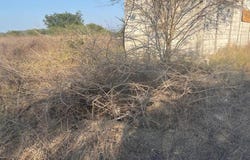 RANCHO NUEVO S/N, Los Asmoles, Colima, Colima, Colima, Colima 28640
