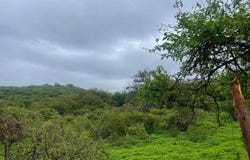 Sobre Brecha, Fracción B Predio Rustico, La Cantera. S/N, Cajititlán, Tlajomulco de Zúñiga, Jalisco, Tlajomulco de Zuniga, Jalisco 45670