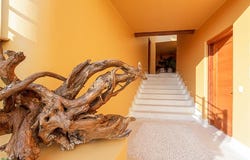 Arcano, Zihuatanejo, Guerrero 40884