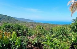 Nayarit, Nayarit