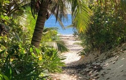 Costera Norte sm 10 mz 26 lt 1, 77580 Puerto Morelos, Q.R., Mexico, Puerto Morelos, Quintana Roo 77580