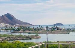 5 PEZ ESPADA, Guaymas, Sonora