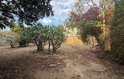 Pino Suárez S/N, Pueblo Nuevo, Oaxaca de Juárez, Oaxaca, Oaxaca de Juarez, Oaxaca 68274