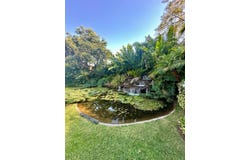 Gardenia, Cuernavaca, Morelos 62120