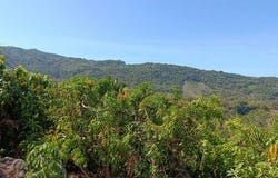 Nayarit, Nayarit