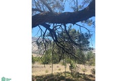 Arteaga, Arteaga, Coahuila de Zaragoza, Arteaga, Coahuila 25393