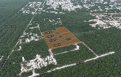 10 AV. Norte, Tulum, Quintana Roo 77762