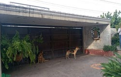 NOGAL 176, Alameda, Valle de Guadalupe, Jalisco, Jalisco 47383