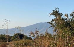 Los Charales, Jocotepec, Jalisco 45822