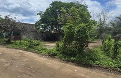Jalisco, Nayarit