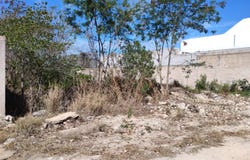 Dzityá, Dzityá, Yucatan