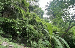 L6 M486-C Jacarandas, Puerto Vallarta, JALISCO