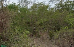 tablaje 15106 , Hunucma, Hunucmá, Yucatán, Hunucma, Yucatan 97350