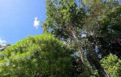 Quintana Roo, Quintana Roo