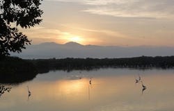 Nayarit, Nayarit