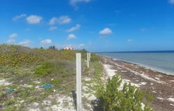 27 100, San Crisanto, Sinanché, Yucatán, Sinanche, Yucatan 97424