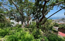 Jalisco, Jalisco