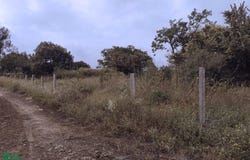 Pedregal Tlalli, Tlayacapan, Morelos, Tlayacapan, Morelos 62540