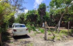 Unnamed Road, Mahahual, Quintana Roo