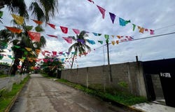Calle México, Localidad Mezcalitos 0, Las Jarretaderas, Bahía de Banderas, Nayarit, Bahia de Banderas, Nayarit 63735