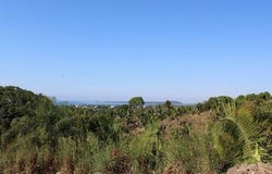 Nayarit, Nayarit