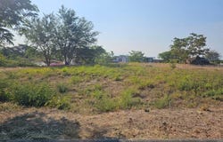 Azalea M27 L33 81 Altozano, Chiapa, Cuauhtémoc, Colima, Cuauhtemoc, Colima 28530