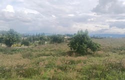 Paraje las Peñitas, San Pablo Etla, Oaxaca 68258