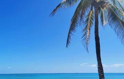 Carretera Federal 18, Playa del Carmen Centro, Solidaridad, Quintana Roo, Playa Del Carmen, Quintana Roo 77710