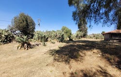 Av. Circuito Bicentenario, Zumpango, State of Mexico 55635