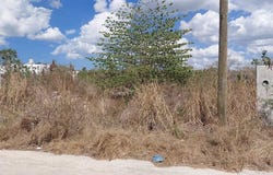 138, Dzityá, Yucatan 97302