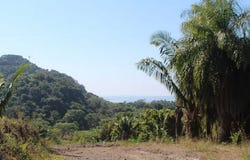 Nayarit, Nayarit