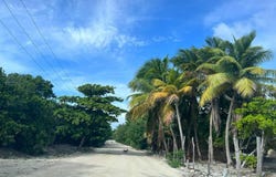 carretera xcalak - Mahahual lote 2880, Xcalak, Othón P. Blanco, Quintana Roo, Othon P Blanco, Quintana Roo 77940